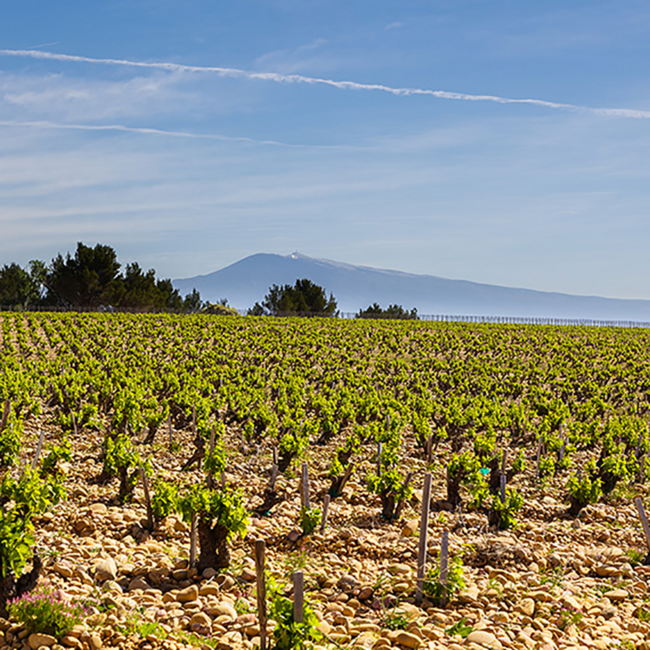 Côte Rôtie La Turque 2021 0.75 l