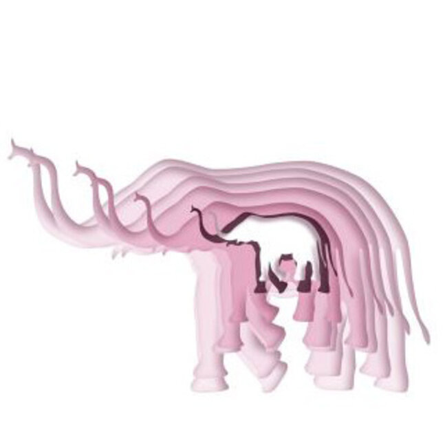 Der Elefant im Porzellanladen Rose BIO 2025 0.75 l