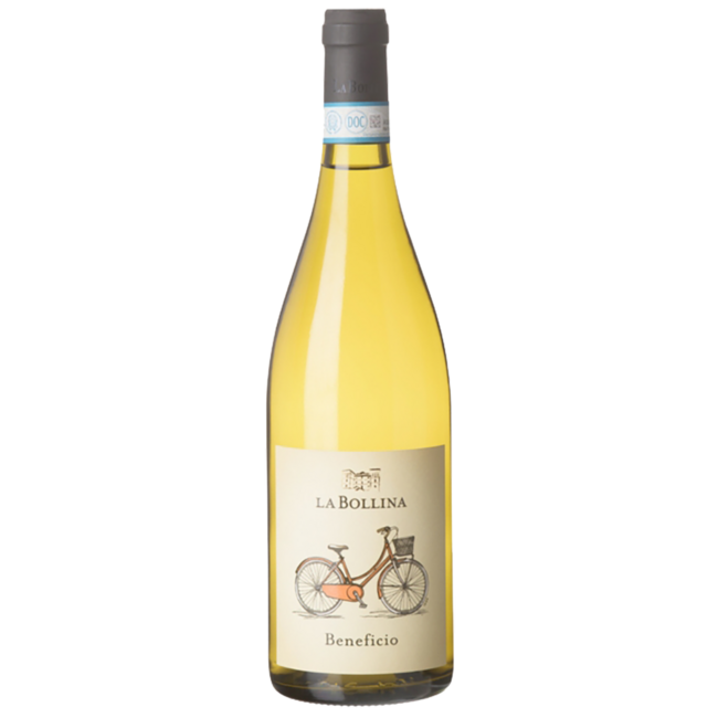 “Beneficio” (CH/SB/CO) Piemonte DOC 2025 0.75 l
