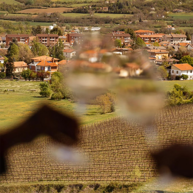 “Beneficio” (CH/SB/CO) Piemonte DOC 2025 0.75 l