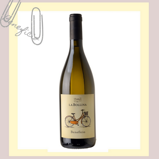 “Beneficio” (CH/SB/CO) Piemonte DOC 2025 0.75 l