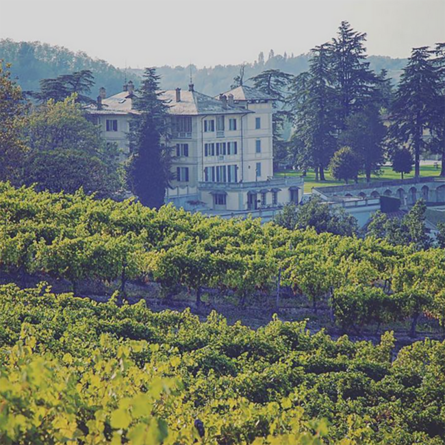 Monferrato Bianco D.O.C. “Armason” (Oaky Chardonnay) 2024 0.75 l