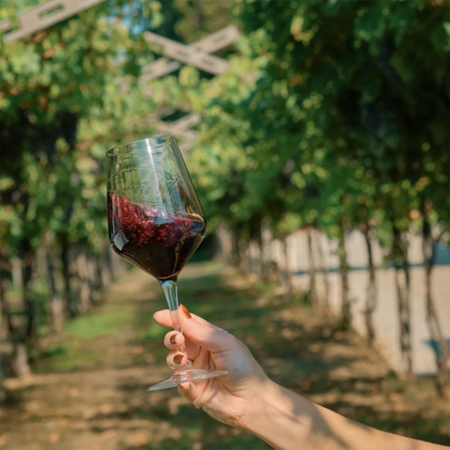 Amarone della Valpolicella Classico DOCG 2022 0.75 l