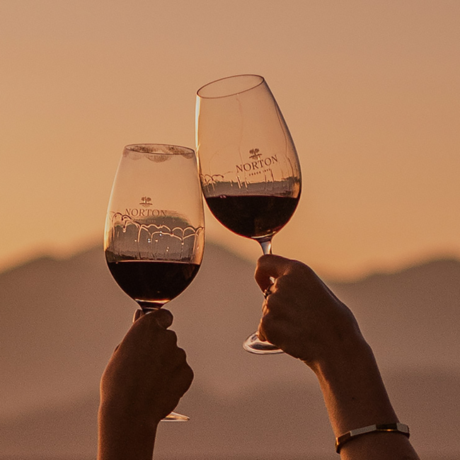 Cabernet Sauvignon Reserva 2024 0.75 l