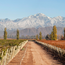 Cabernet Sauvignon Reserva 2024 0.75 l