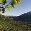 Primo Terlaner I Grande Cuvee 2020 0.75 l