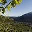 Chardonnay Tradition Alto Adige DOC 2025 0.75 l