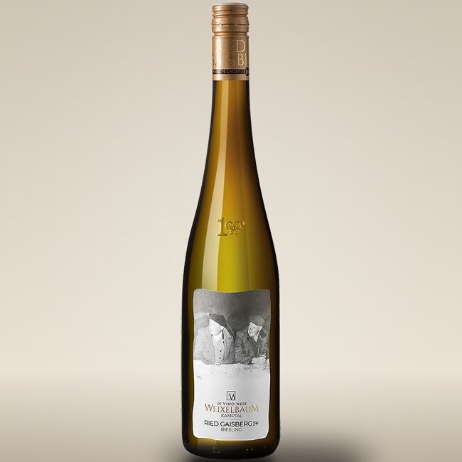 Riesling Ried Gaisberg 1ÖTW Kamptal DAC Reserve 2024 0,75 l