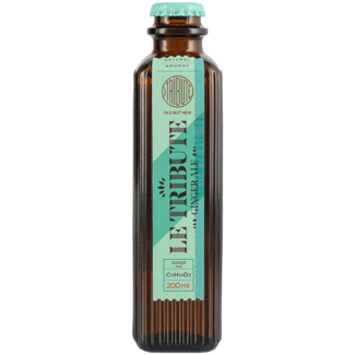 Le Tribute / Spanien, Vilanova Le Tribute Ginger Ale 4er 0,2 l