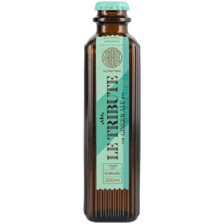 Le Tribute / Spanien, Vilanova Le Tribute Ginger Ale 24er 0,2 l