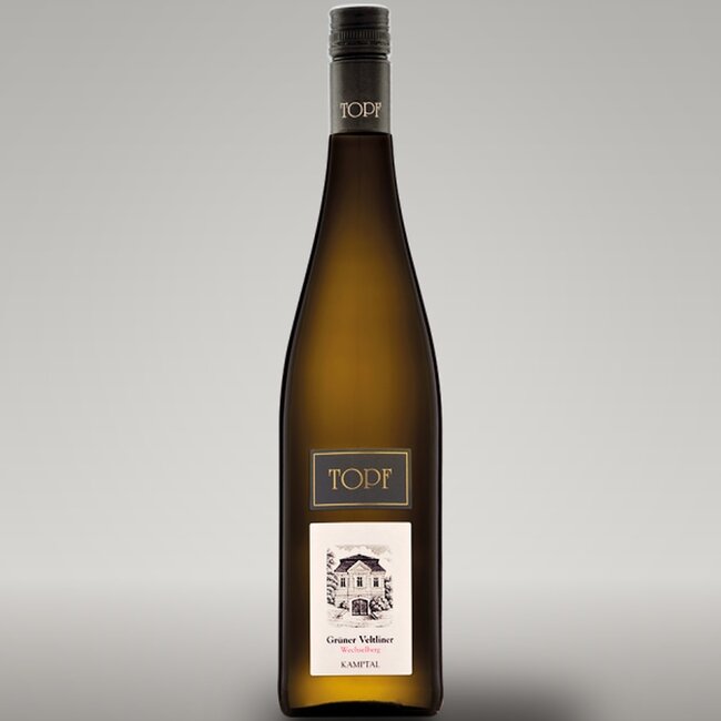 Grüner Veltliner Ried Wechselberg Kamptal DAC 2024 0,75 l