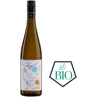 Jurtschitsch / Kamptal, Langenlois Grüner Veltliner GrüVe 2025 0,75 l