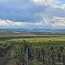 Grüner Veltliner Ried Spiegel Kamptal DAC 2022 0,75 l