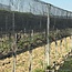 Riesling Ried Haid Kamptal DAC 2024 0,75 l