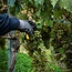Riesling Ried Haid Kamptal DAC 2024 0,75 l