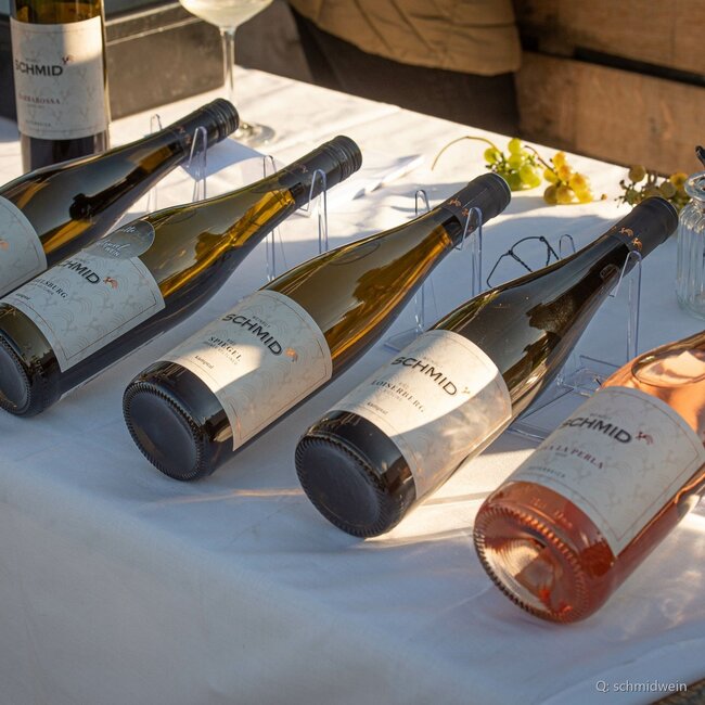 Riesling Ried Haid Kamptal DAC 2024 0,75 l
