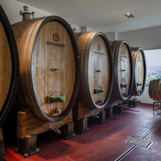 Grüner Veltliner Buchegger HG (ehem. Holzgasse) 2025 0,75 l