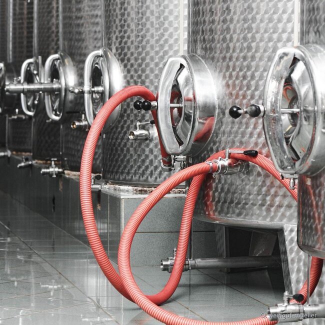 Sauvignon Blanc Vulkanland DAC 2025 0,75 l