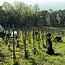Sauvignon Blanc Steinmühle 2025 0,75 l