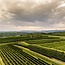 Grüner Veltliner L & T 2025 0,75 l