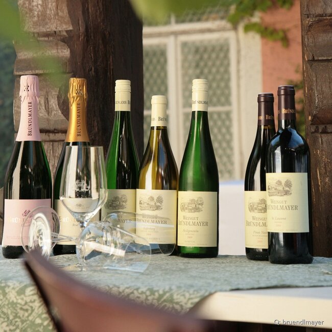 Grüner Veltliner Ried Käferberg 1ÖTW Kamptal DAC 2022 0,75 l