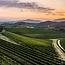 Rjgialla Ribolla Gialla Friuli DOP 2024 0,75 l