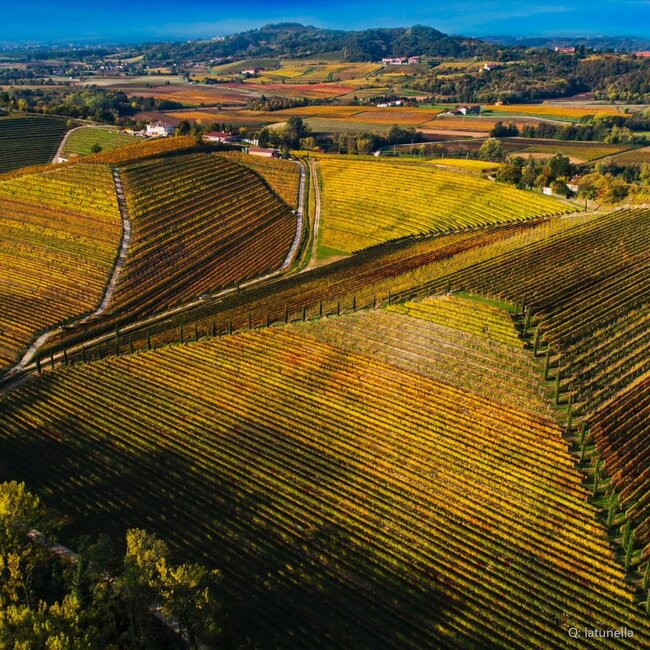 Rjgialla Ribolla Gialla Friuli DOP 2024 0,75 l