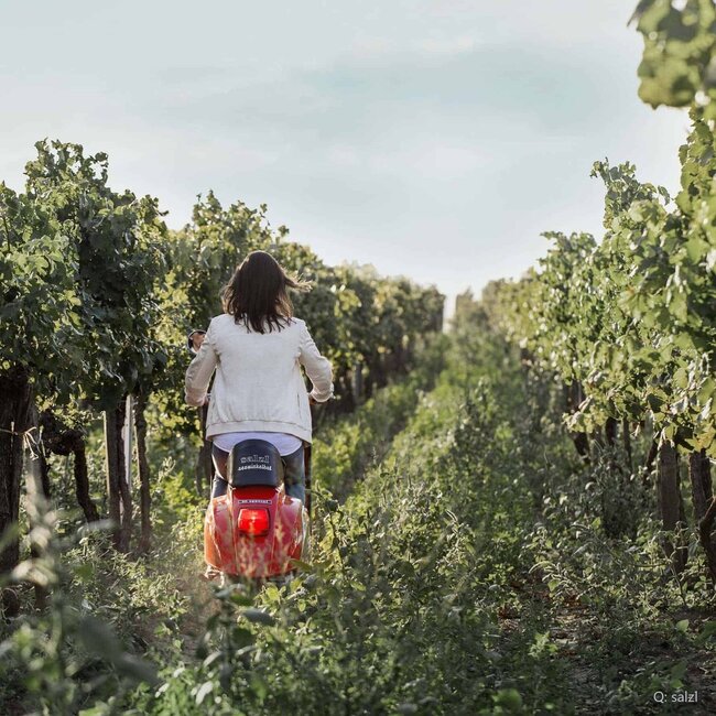 Zweigelt Reserve Neusiedlersee DAC 2022 0,75 l