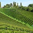 Weißburgunder Südsteiermark DAC 2024 0,75 l