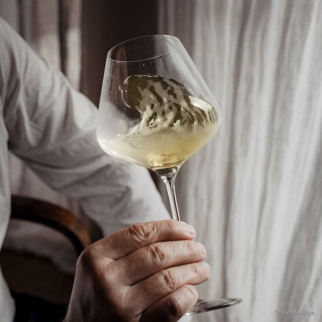 Pinot Grigio Friuli Colli Orientali DOC 2025 0,75 l
