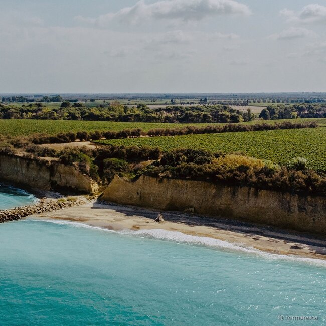 Trentangeli Castel del Monte DOC 2021 0,75 l