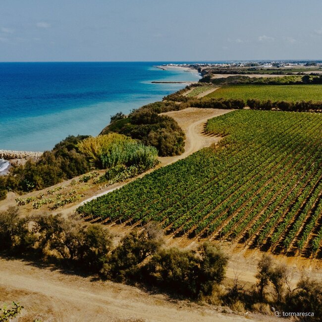 Trentangeli Castel del Monte DOC 2021 0,75 l