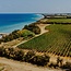 Trentangeli Castel del Monte DOC 2021 0,75 l