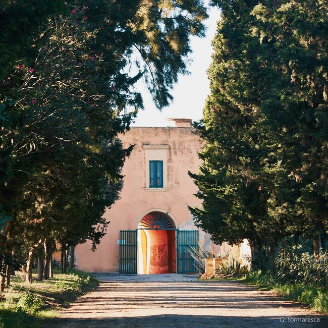 Trentangeli Castel del Monte DOC 2021 0,75 l