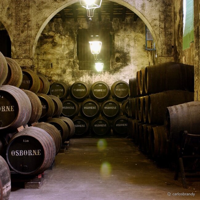 Carlos I Brandy 1 l 40 % vol