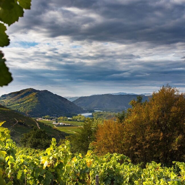 Parallèle 45 Côtes du Rhône AOC 2024 0,75 l