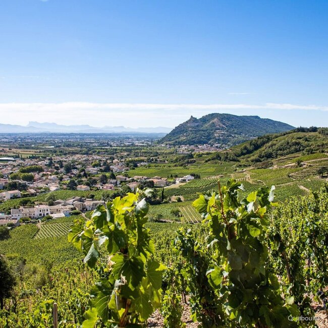 La Chapelle Hermitage AOC 2021 0,75 l