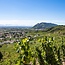 La Chapelle Hermitage AOC 2021 0,75 l