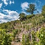 La Chapelle Hermitage AOC 2021 0,75 l