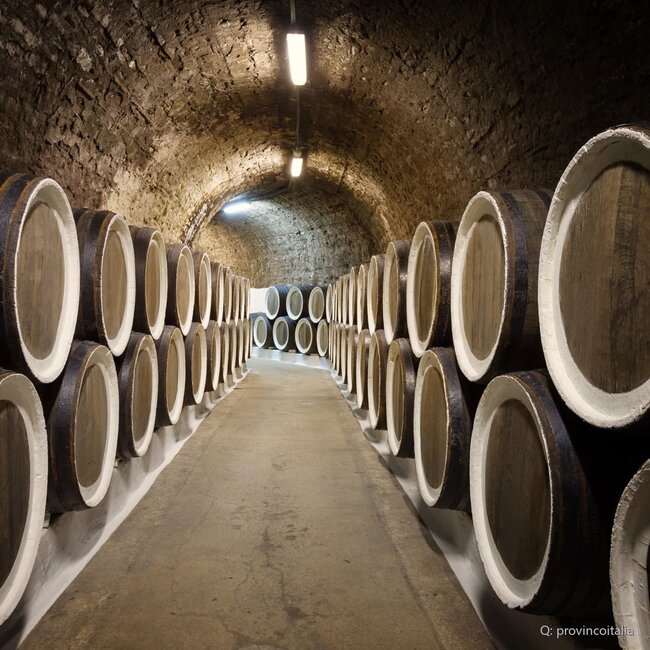 Primitivo Appassimento 2024 0,75 l