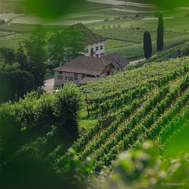 Lagrein Riserva Vigna Castel Ringberg DOC 2022 0.75 l