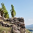 Grüner Veltliner Dürnsteiner Wachau DAC 2024 0,75 l