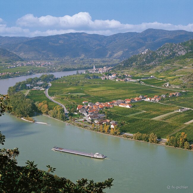 Grüner Veltliner Dürnsteiner Wachau DAC 2024 0,75 l