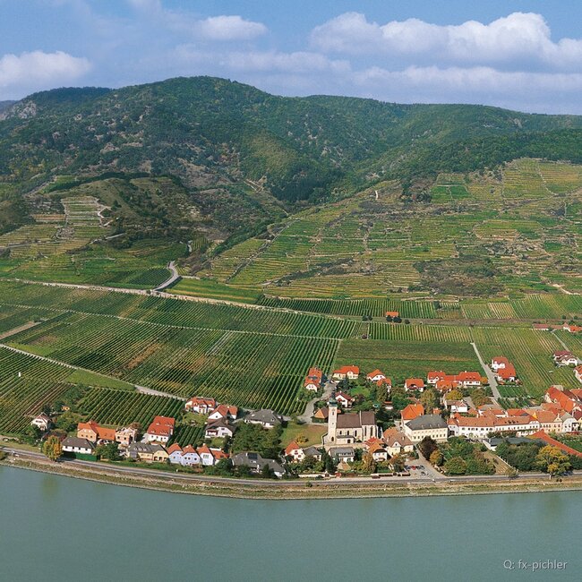 Grüner Veltliner Dürnsteiner Wachau DAC 2024 0,75 l