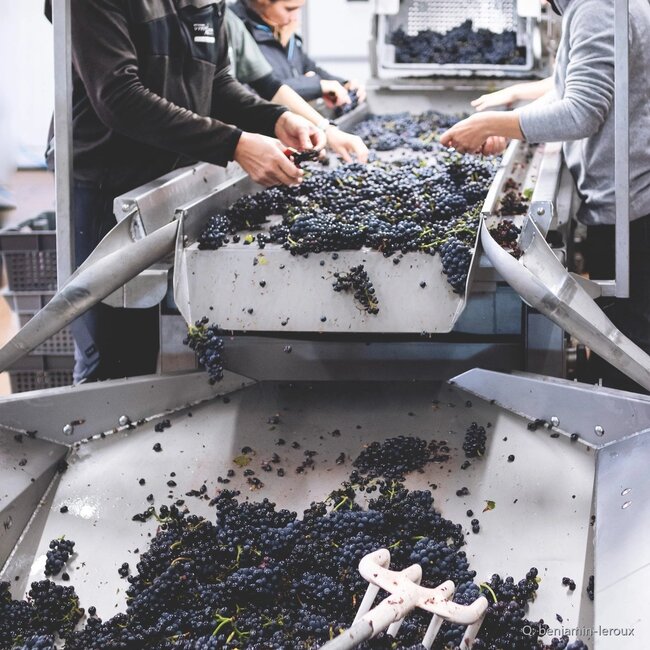 Gevrey-Chambertin Village 2021 0,75 l
