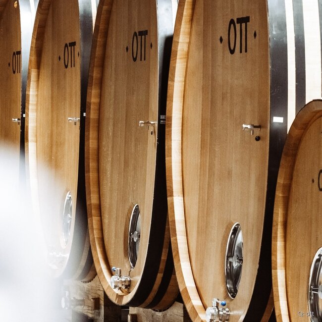Bernhard Ott Grüner Veltliner Ried Rosenberg 1ÖTW Wagram DAC 2021 0,75 l
