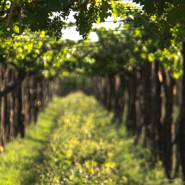 Ultra Malbec 2022 0,75 l