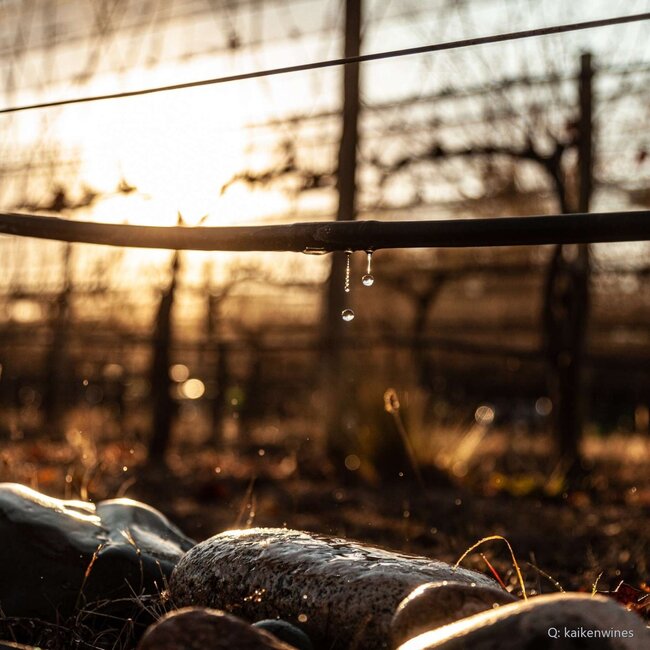 Ultra Malbec 2022 0,75 l