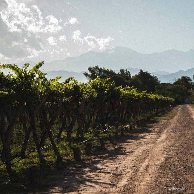 Ultra Malbec 2022 0,75 l