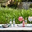 Indian Tonic Water 4er Tray 0,2 l